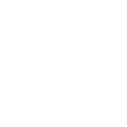 Pilote